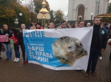 Учнівський парламент РГГ – учасник Всеукраїнського маршу за права тварин